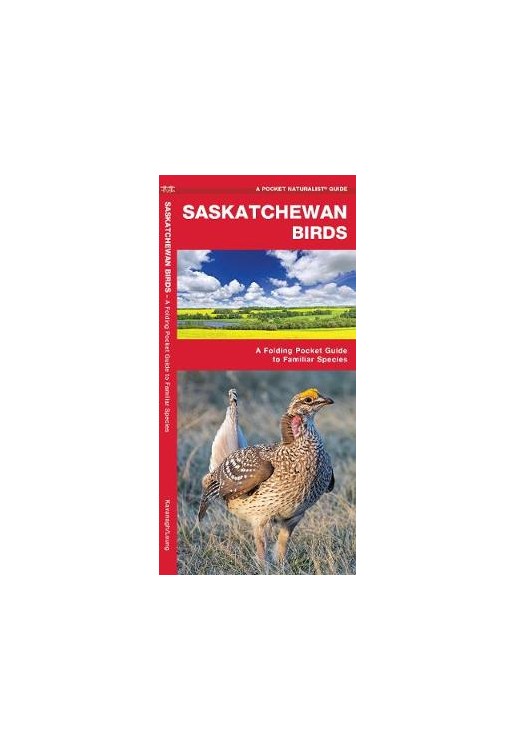 Saskatchewan Birds