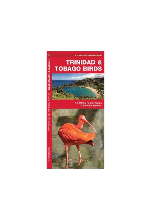 Trinidad & Tobago Birds