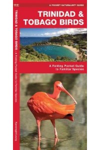 Trinidad & Tobago Birds