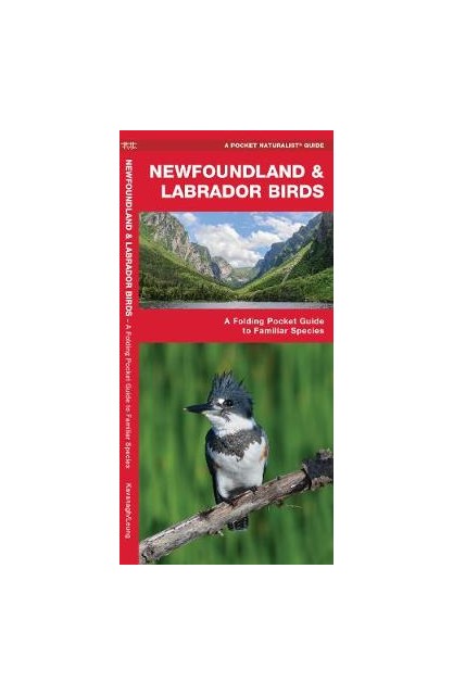 Newfoundland & Labrador Birds