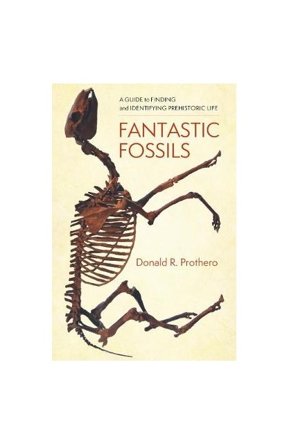 Fantastic Fossils