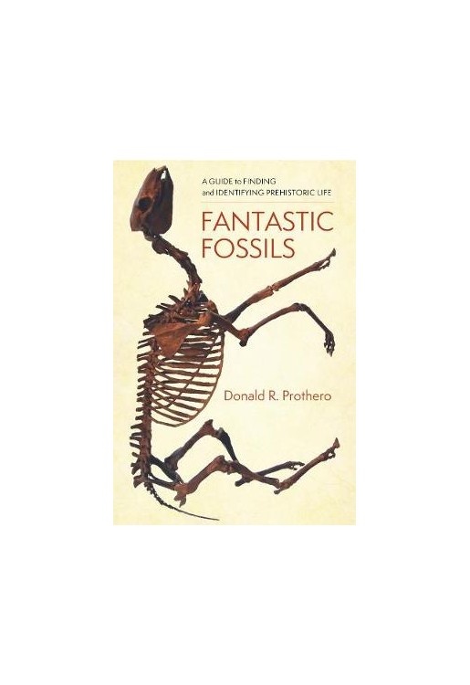Fantastic Fossils