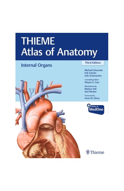 Internal Organs