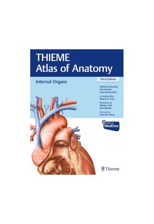 Internal Organs