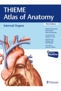 Internal Organs