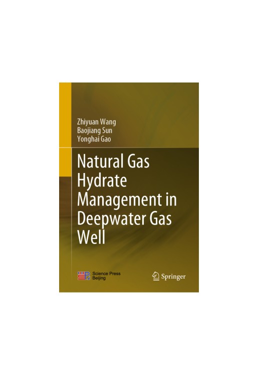 Natural Gas Hydrate Management in Deepwater Gas Well