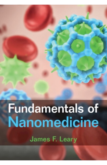 Fundamentals of Nanomedicine