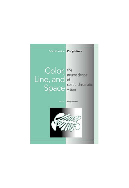 Color Line & Space The Neuroscience