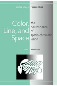 Color Line & Space The Neuroscience