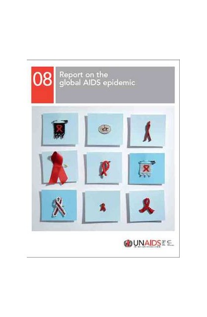 2008 Report on the Global...