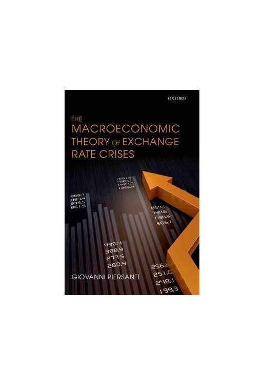 The Macroeconomic Theory of Exchange Rate Crises