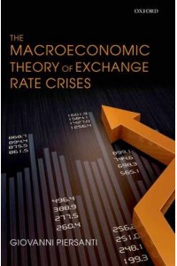 The Macroeconomic Theory of Exchange Rate Crises