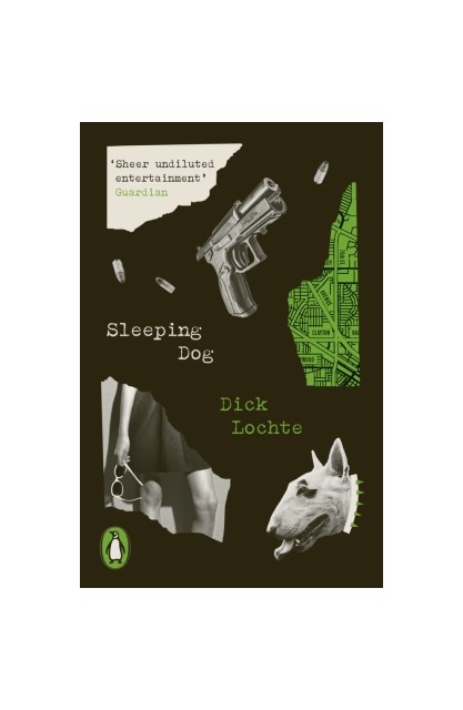 Sleeping Dog