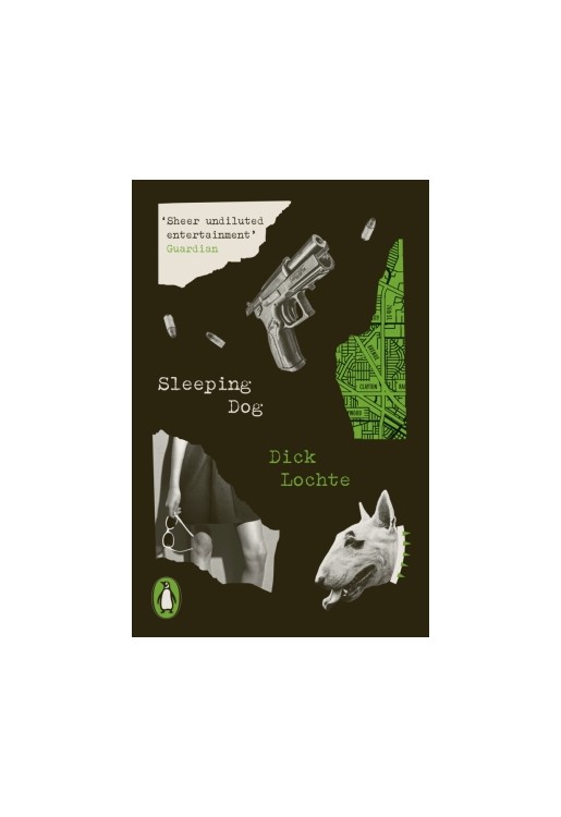 Sleeping Dog