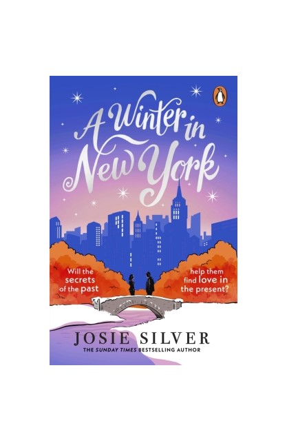 A Winter in New York