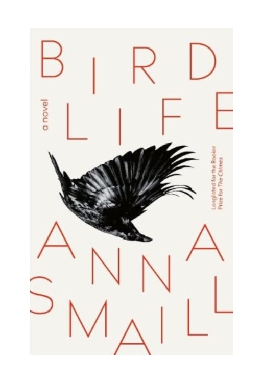 Bird Life