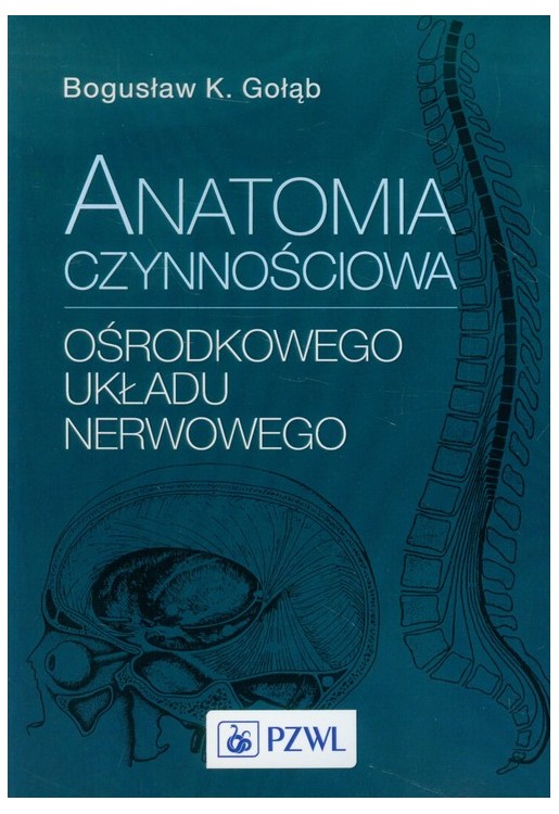 Anatomia czynnościowa ośrodkowego układu nerwowego