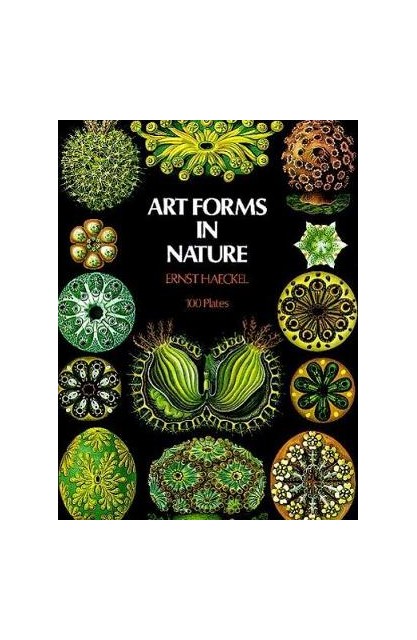 Art Forms In Nature