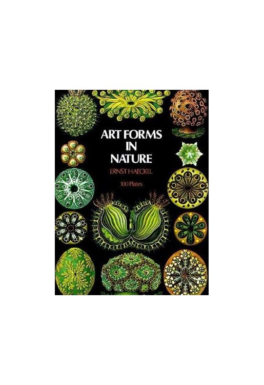 Art Forms In Nature