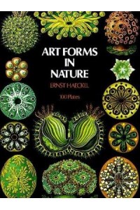 Art Forms In Nature
