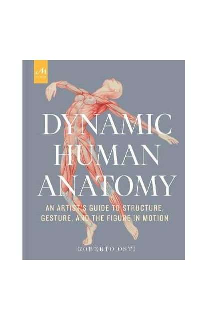 Dynamic Human Anatomy