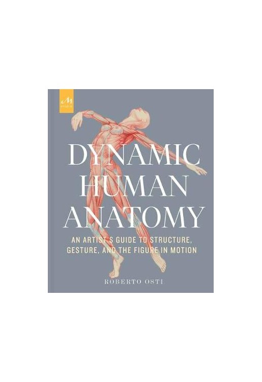 Dynamic Human Anatomy