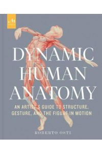 Dynamic Human Anatomy